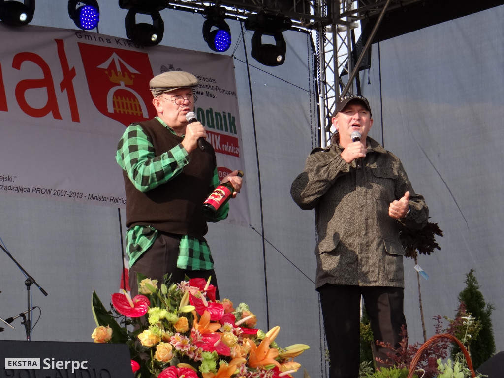 WilkoWyjce 2013