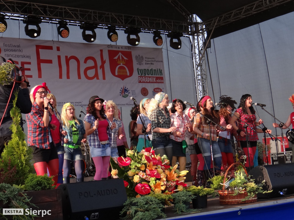 WilkoWyjce 2013