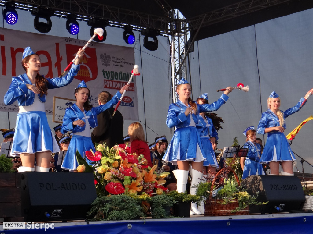 WilkoWyjce 2013