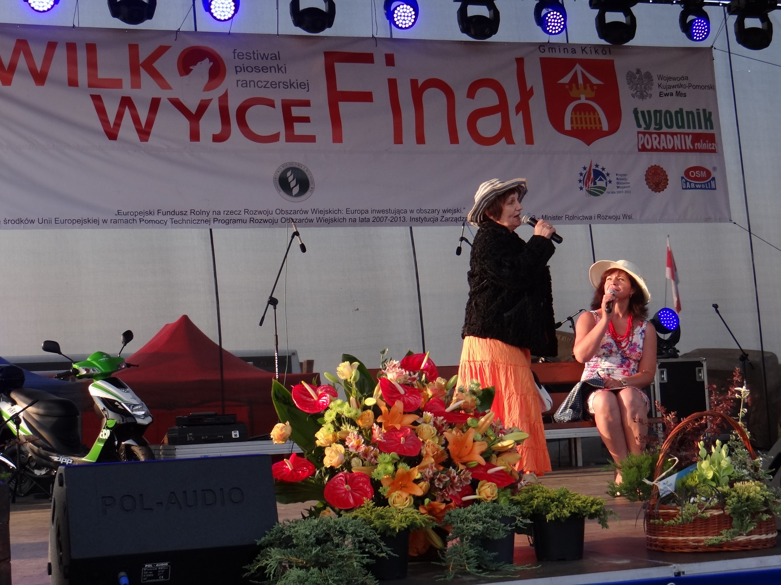 WilkoWyjce 2013