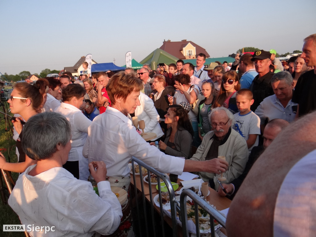 WilkoWyjce 2013