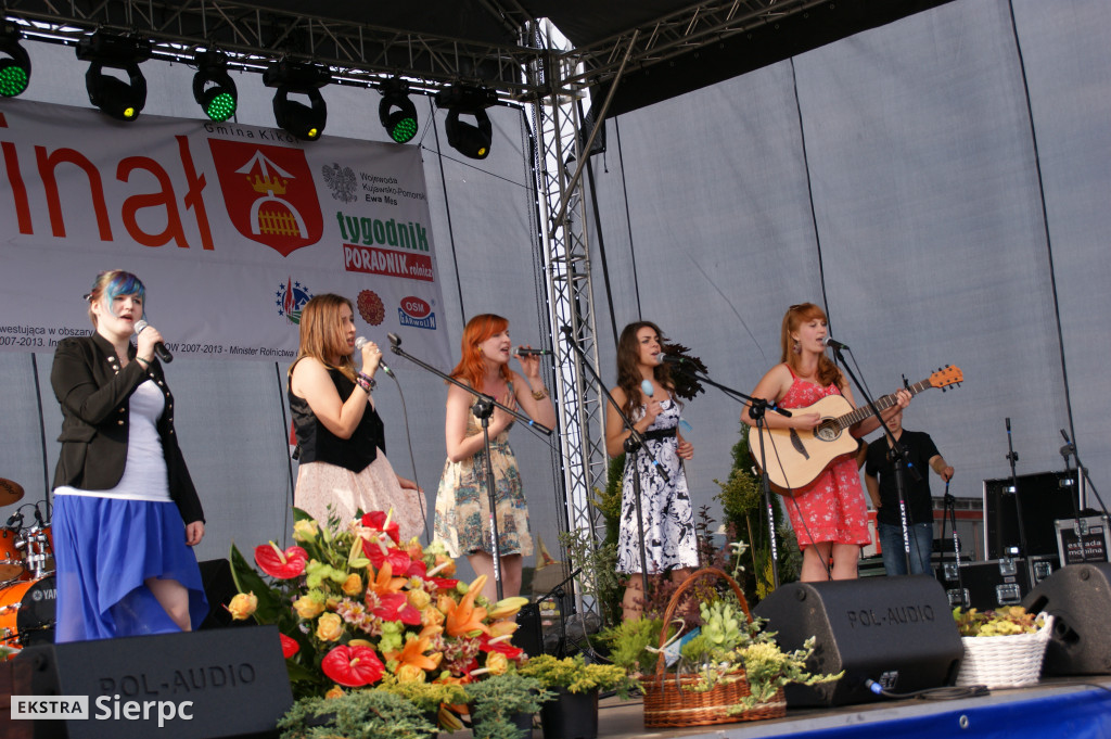 WilkoWyjce 2013