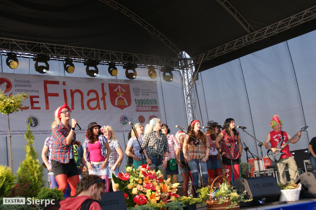 WilkoWyjce 2013