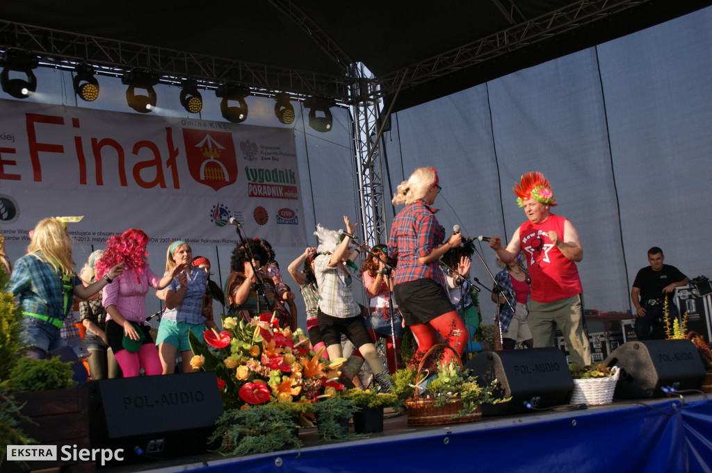 WilkoWyjce 2013