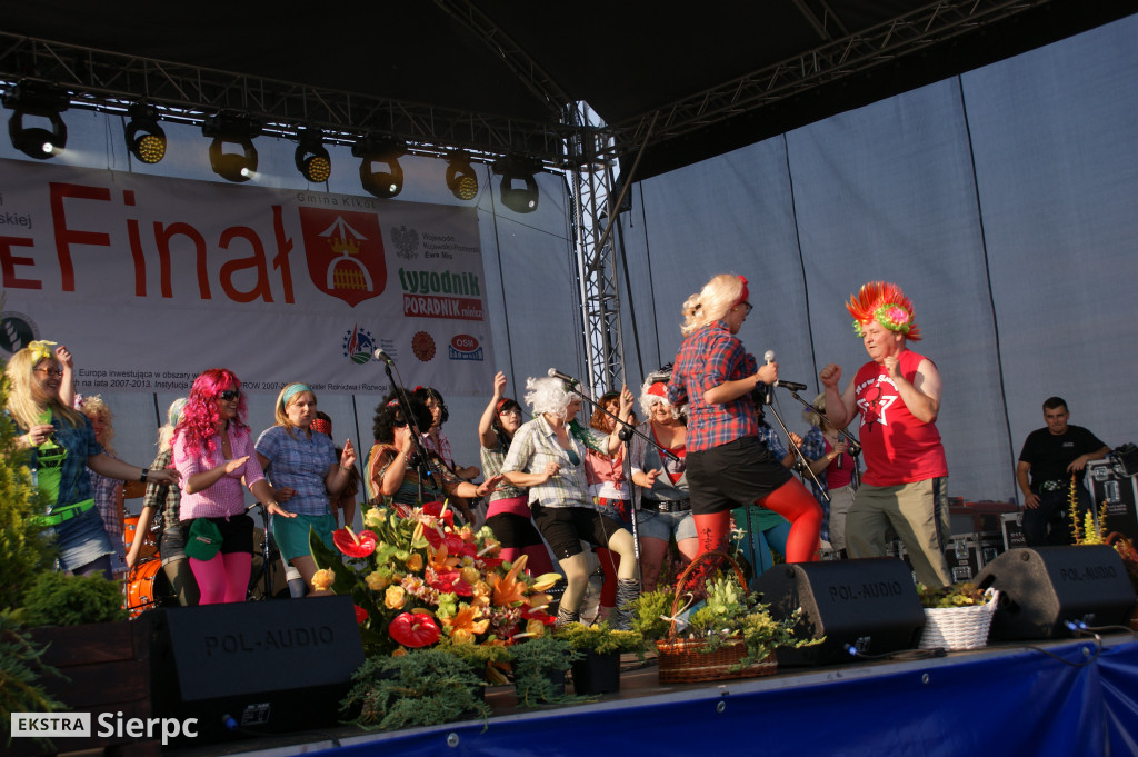 WilkoWyjce 2013