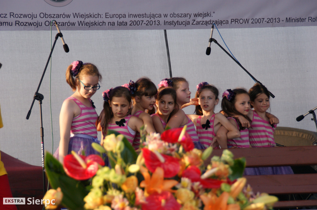 WilkoWyjce 2013