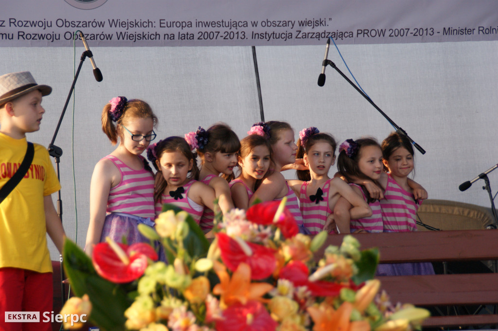 WilkoWyjce 2013