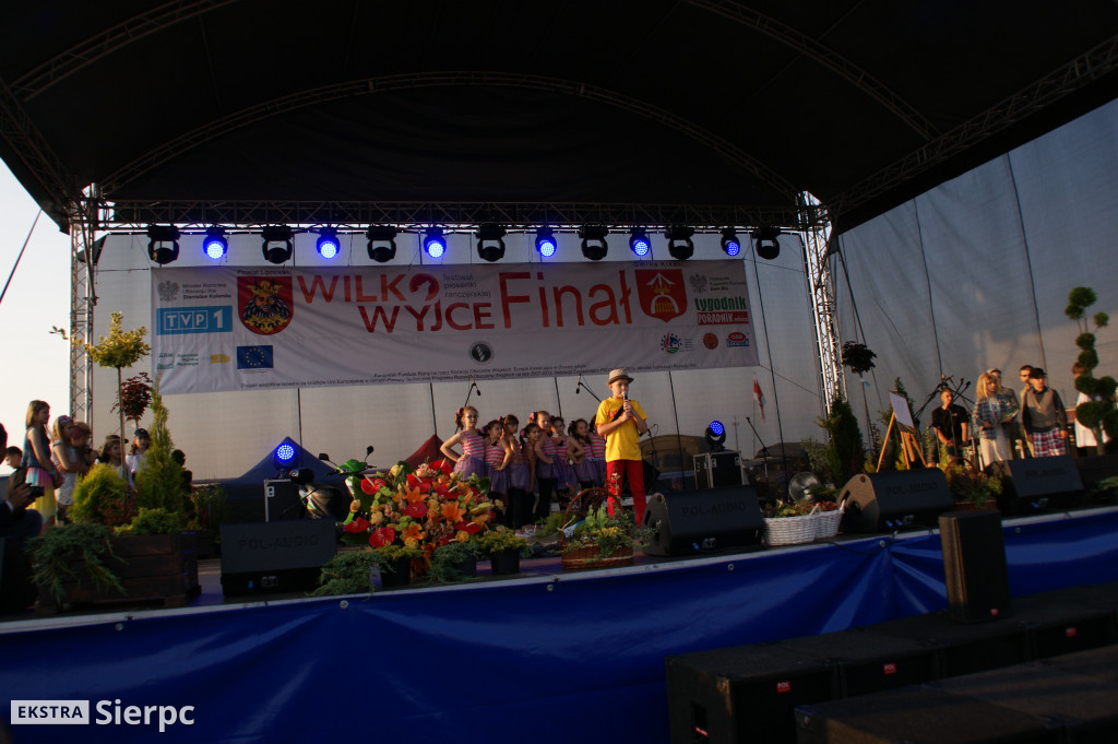 WilkoWyjce 2013