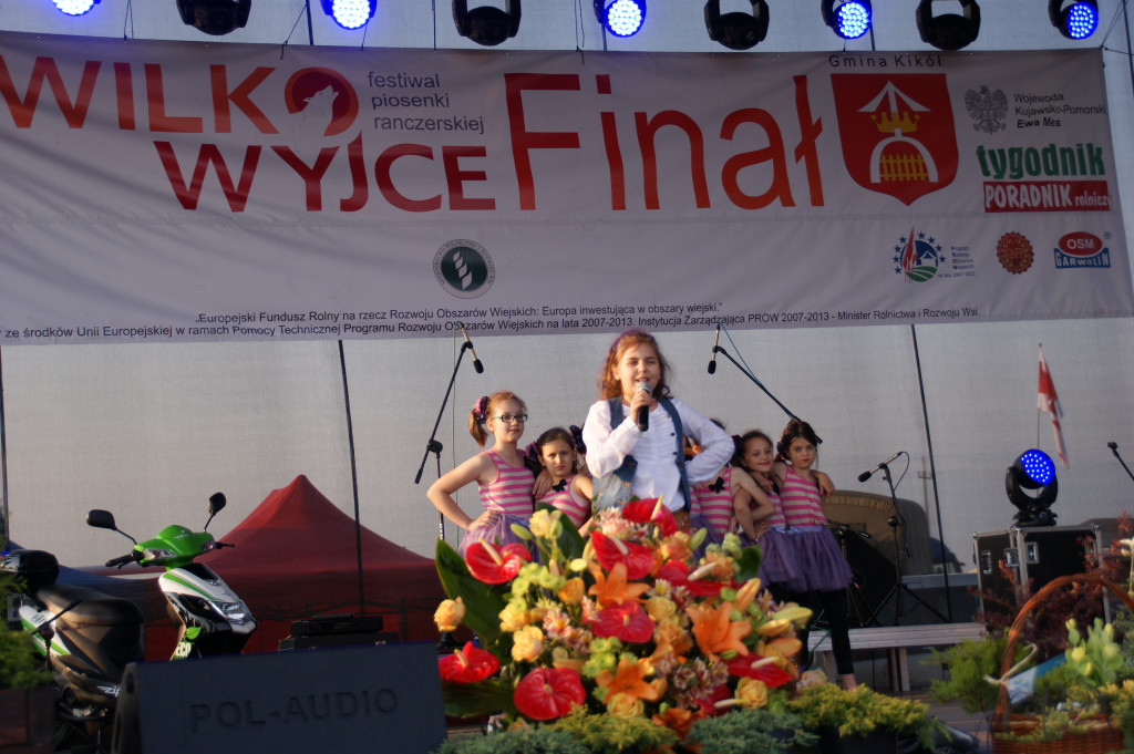 WilkoWyjce 2013