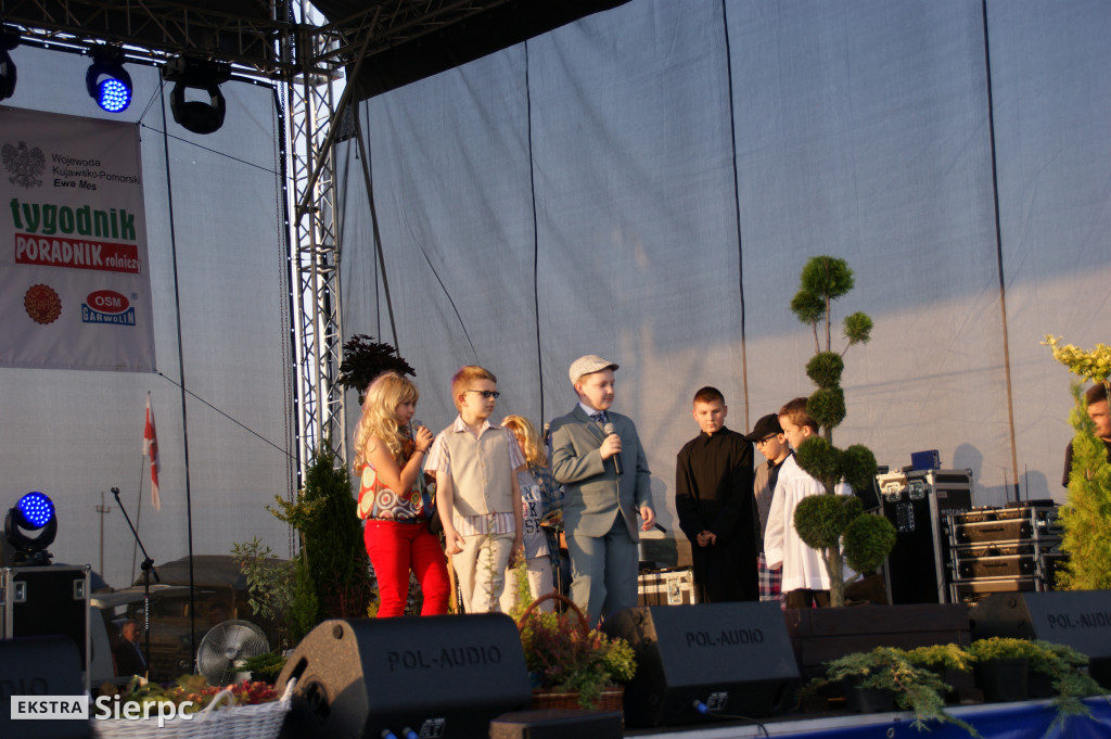 WilkoWyjce 2013