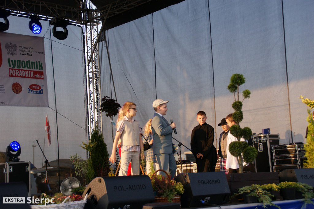 WilkoWyjce 2013