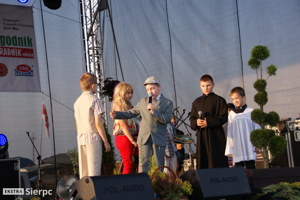 WilkoWyjce 2013