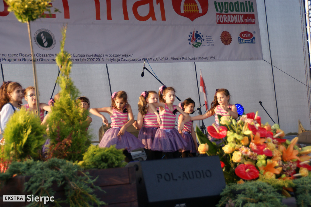 WilkoWyjce 2013