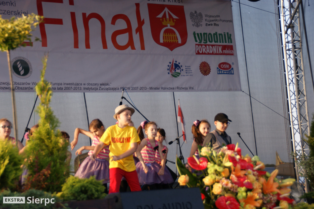 WilkoWyjce 2013