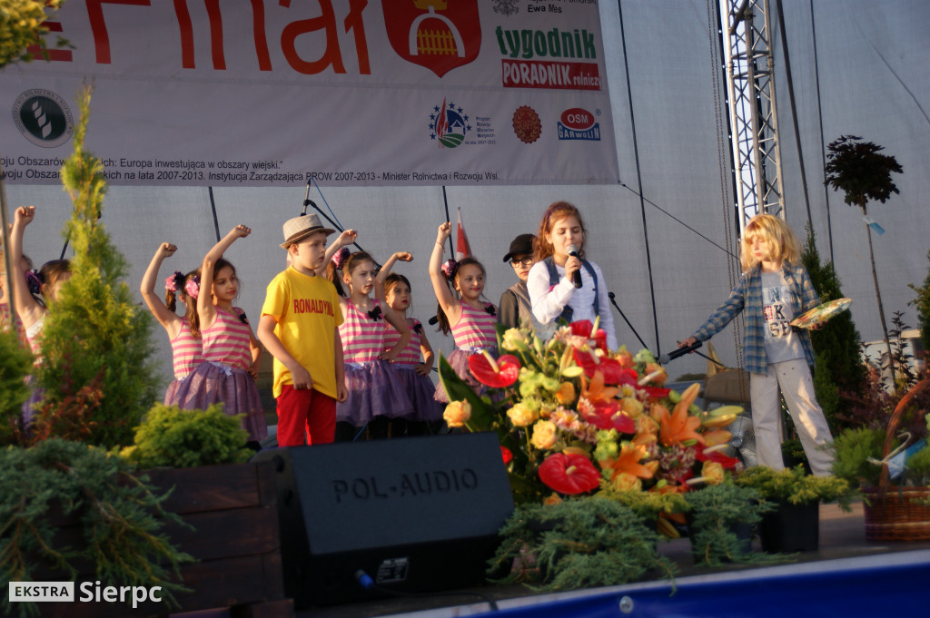 WilkoWyjce 2013