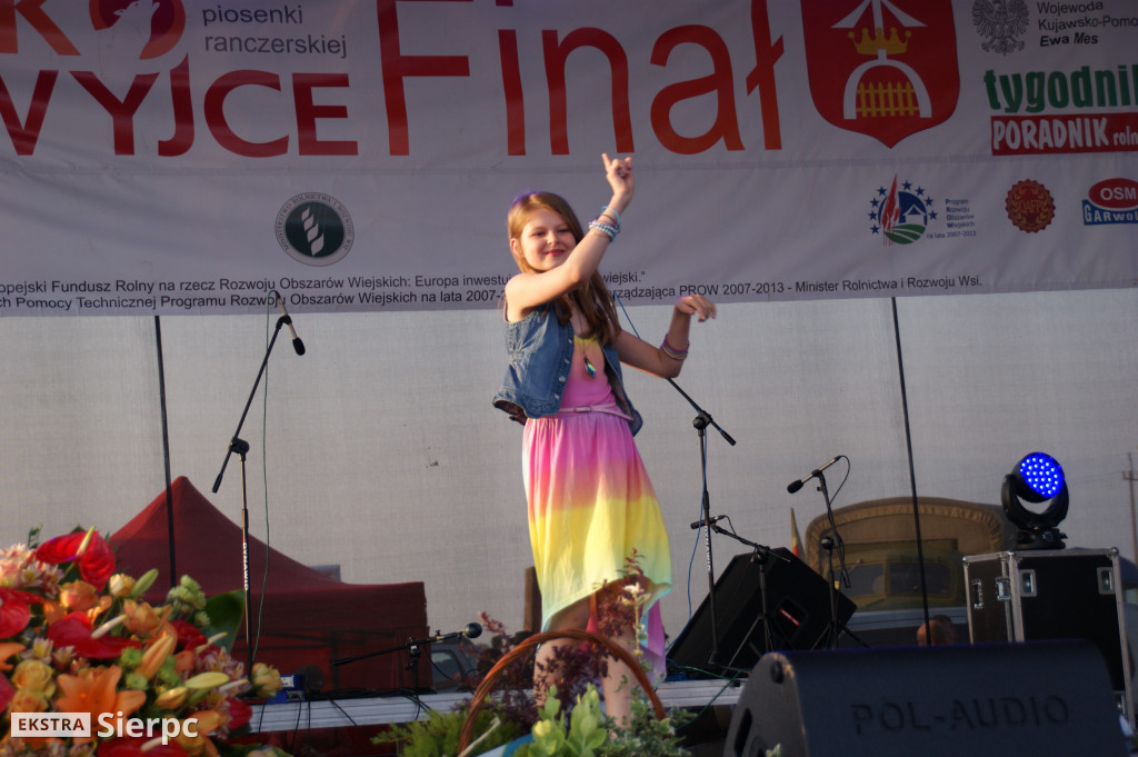 WilkoWyjce 2013