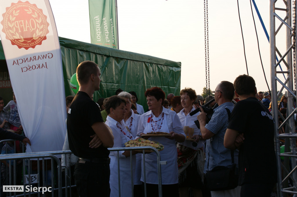 WilkoWyjce 2013