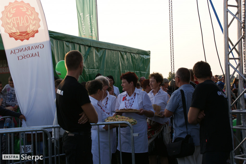 WilkoWyjce 2013