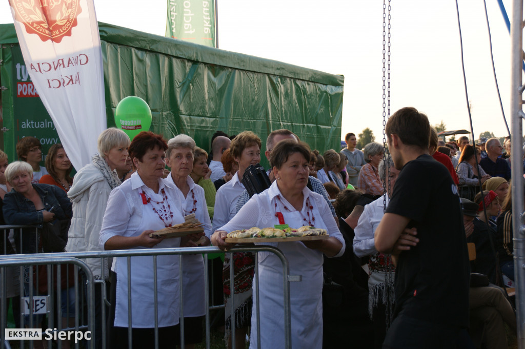 WilkoWyjce 2013