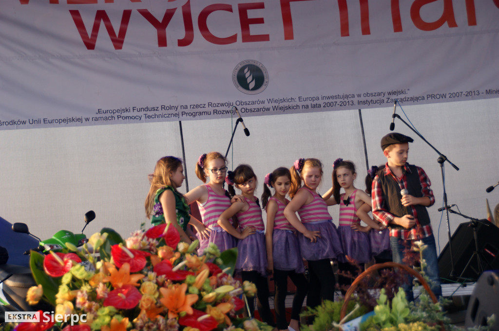 WilkoWyjce 2013