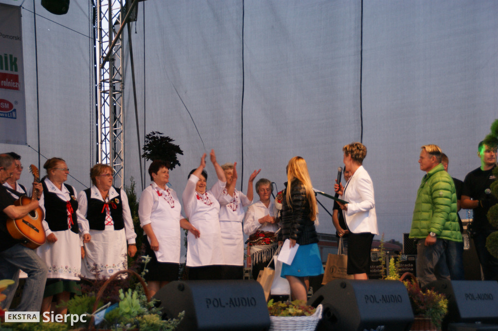WilkoWyjce 2013