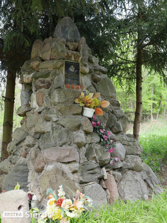 Skrwa i leśne ostępy