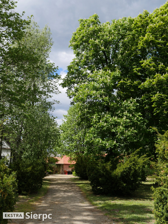 Wiosna na skansenie