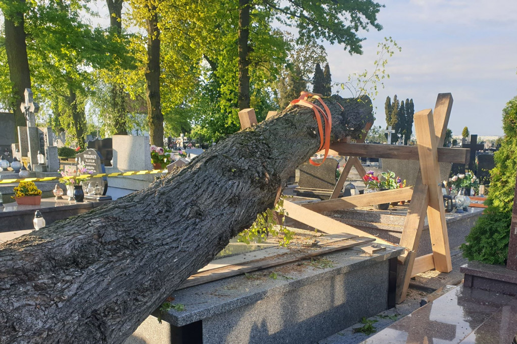 Wiatr przewrócił drzewo na cmentarzu