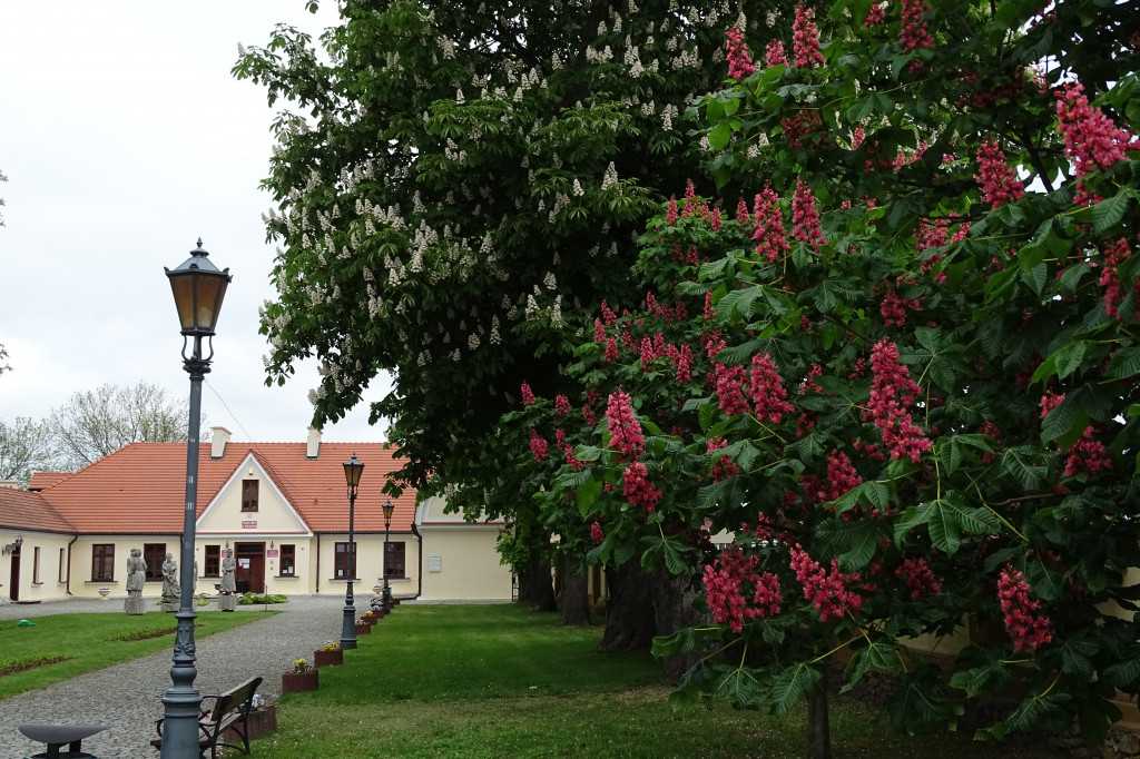 Dworek w Rościszewie