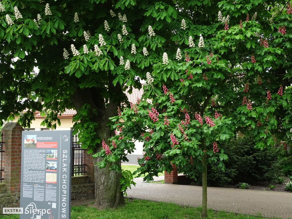 Dworek w Rościszewie