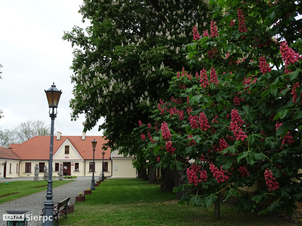 Dworek w Rościszewie