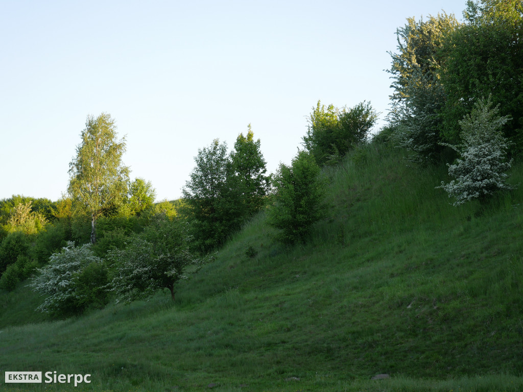 Na sierpeckich łąkach