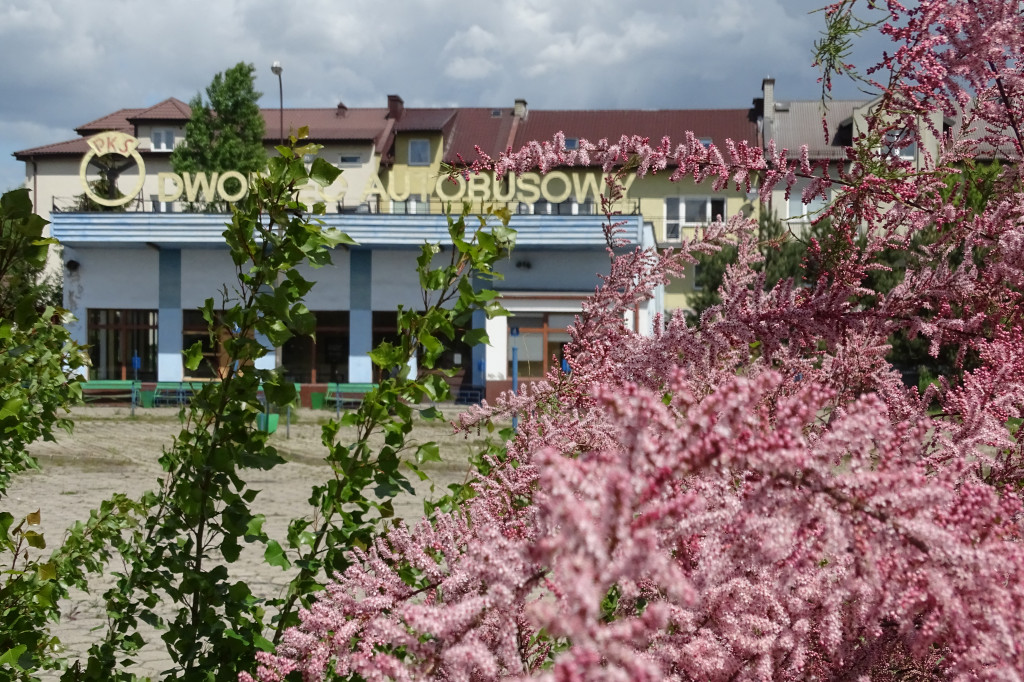 Dworzec PKS w Sierpcu