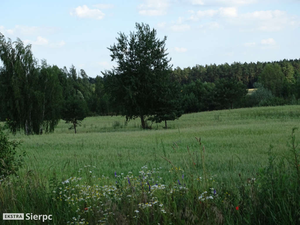 Nasze Ostrowy i Osiedle nr 5