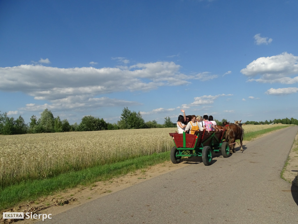 Nasze Ostrowy i Osiedle nr 5