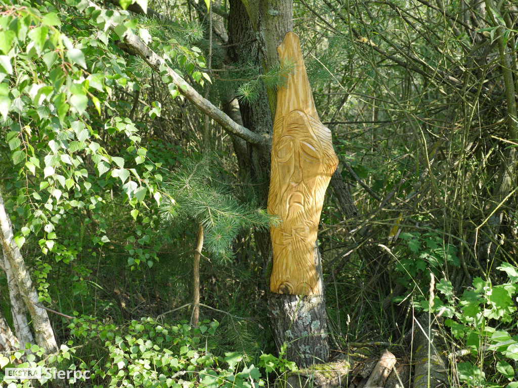 Nasze Ostrowy i Osiedle nr 5