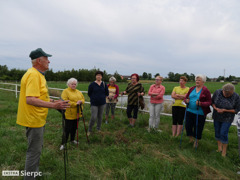 Zajęcia nordic walking w gminie Gozdowo