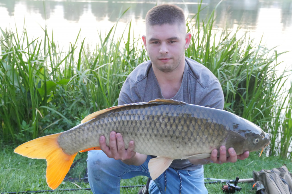 Karp z Jeziórek