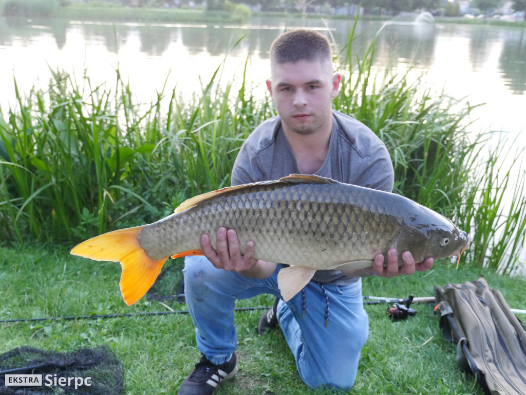 Karp z Jeziórek