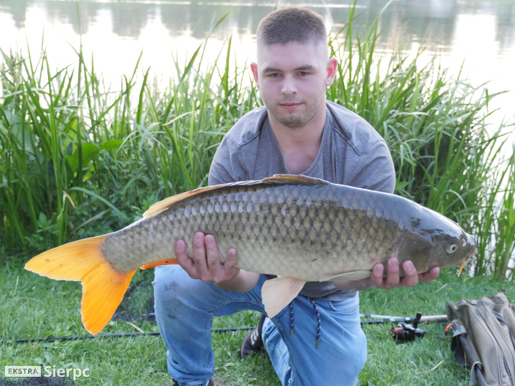 Karp z Jeziórek