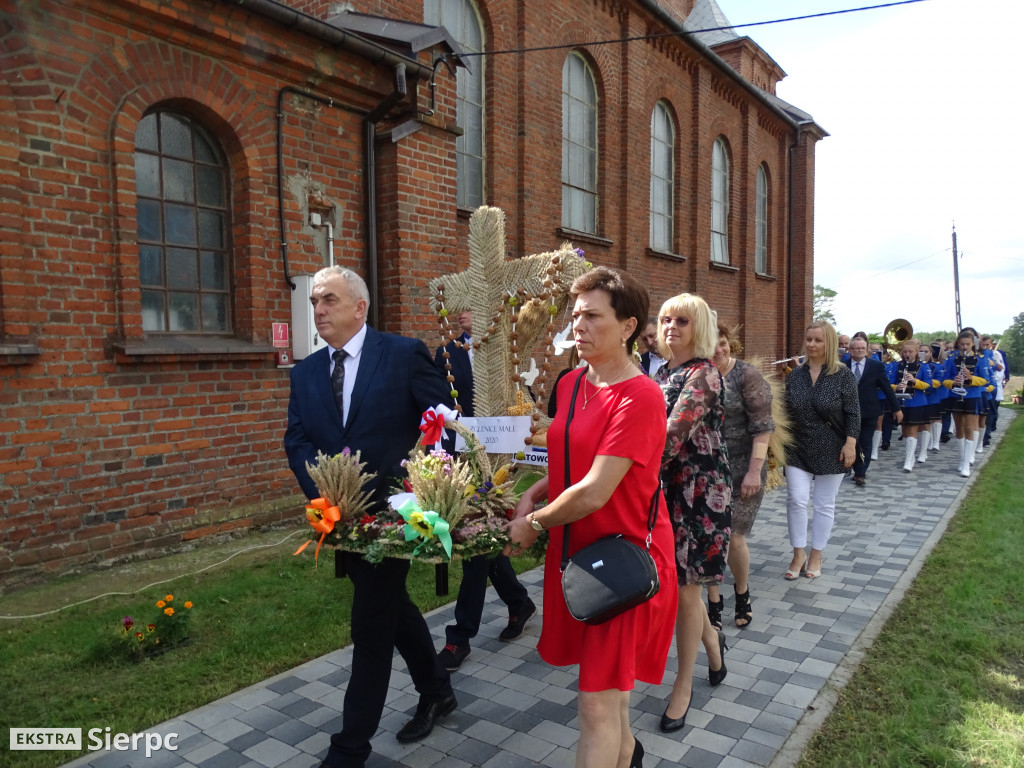 Dożynki w Kurowie