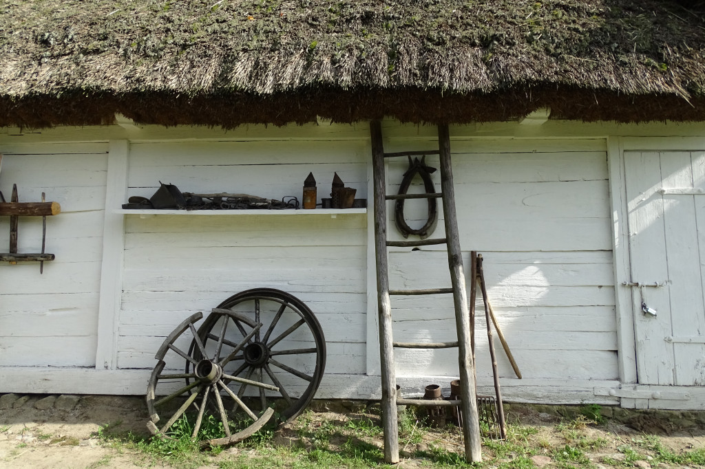 Niedziela odkrywców historii