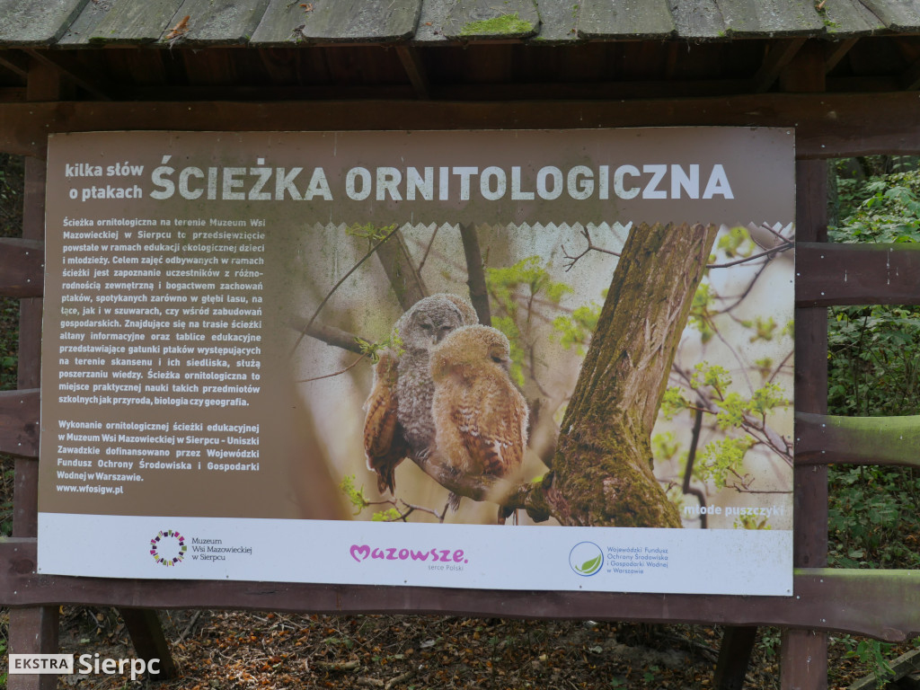 Niedziela odkrywców historii