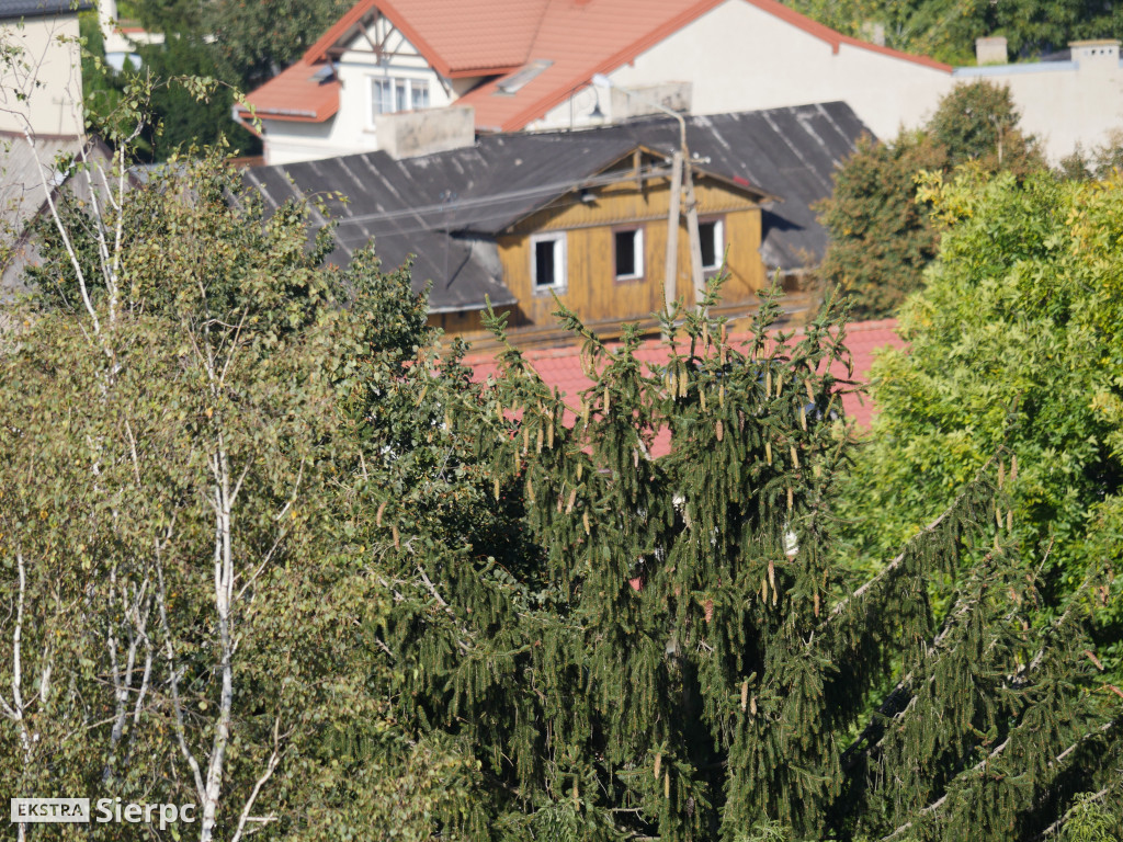 Sierpc widziany z dachu bloku