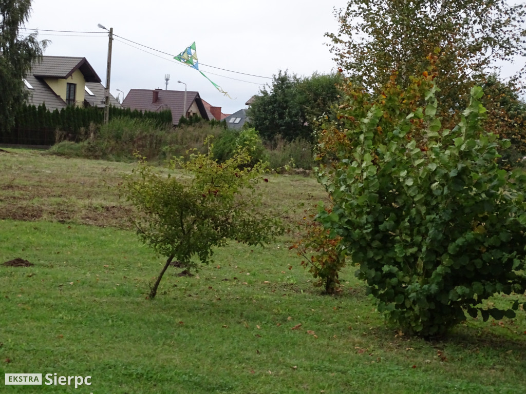 Latawce na Osiedlu nr 6