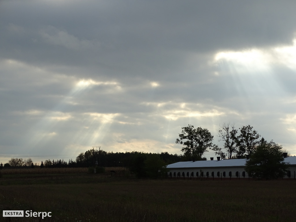 To już jesień