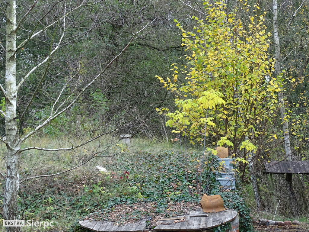 Jesienny skansen