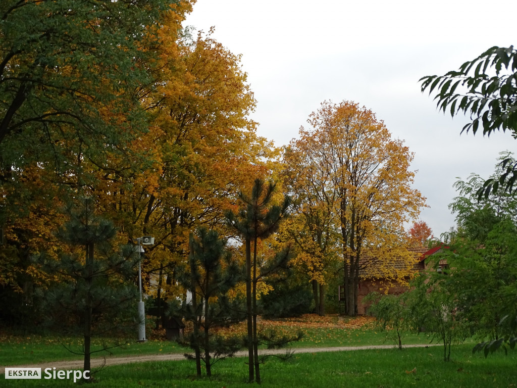 Jesienny skansen