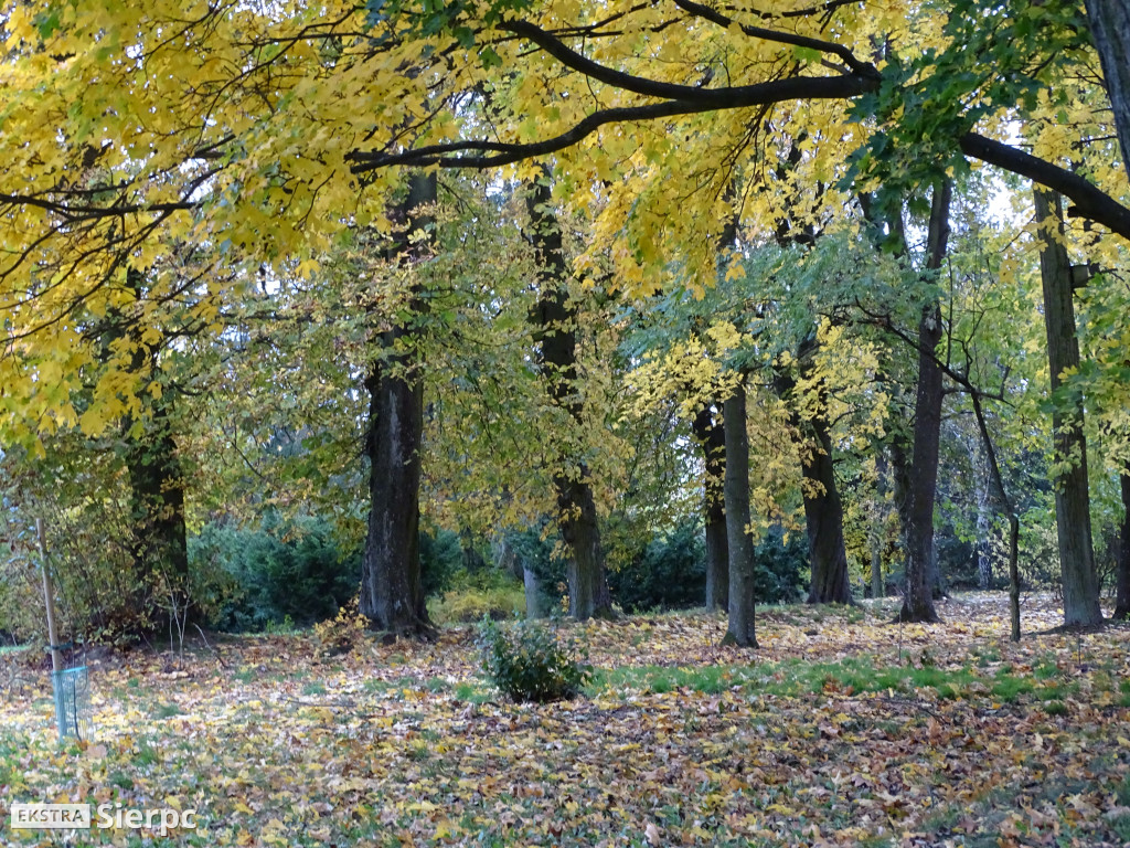 Jesienny skansen