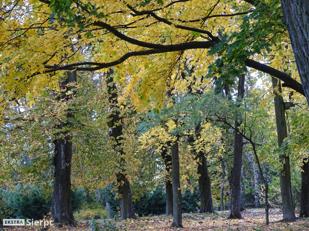 Jesienny skansen